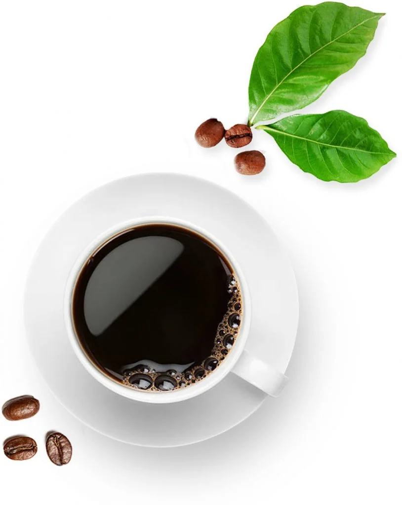 https://www.elroysfinefoods.com/wp-content/uploads/2020/08/organic-coffee-espresso6-814x1024.jpg.webp